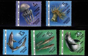 Russia Scott 5954-5958 Marine Life MNH** stamp set 1991