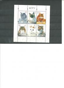 Poland  2010   MNH   Cats