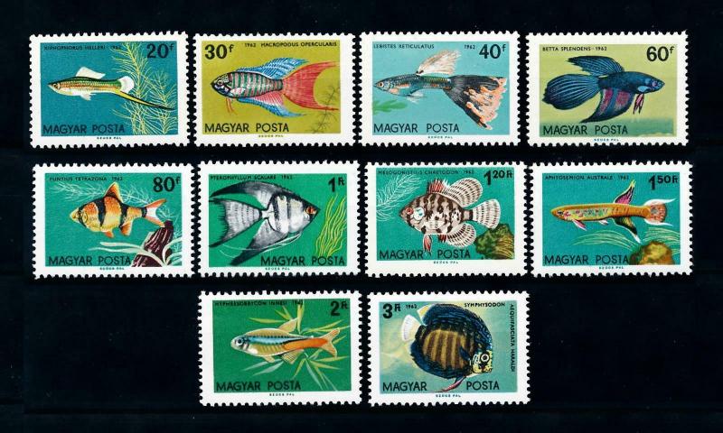 [99336] Hungary 1962 Marine Life Fish  MNH