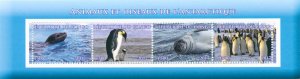 Antarctic Animals Birds on Stamps 2017 MNH Seals Penguins Emperor Penguin 4v M/S