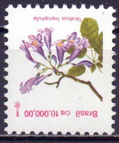 Brazil. 1992. 2506. Flowers flora. MNH.