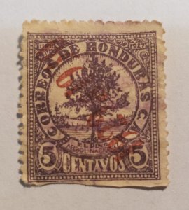 Stamp Latin America Honduras 1927 5c National Tree