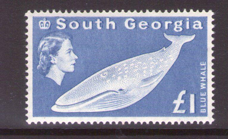 South Georgia SG15 £1  ultramarine  1963 Superb MNH condition.