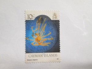 Cayman Islands #563a used  2021 SCV = $1.25