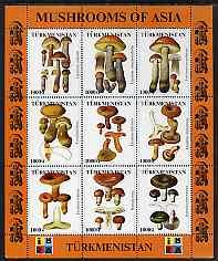 TURKMENISTAN SHEET MUSHROOMS 