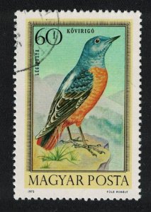 Hungary Rock thrush Song Bird 60fi 1973 Canc SG#2792 MI#2856