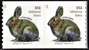 NEW ISSUE (20¢) Brush Rabbit Coil Pair (2021) SA