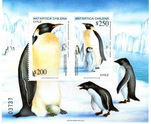 Chile 1992 Emperor Penguins Souvenir Sheet (1) MNH  Sc# 1021a