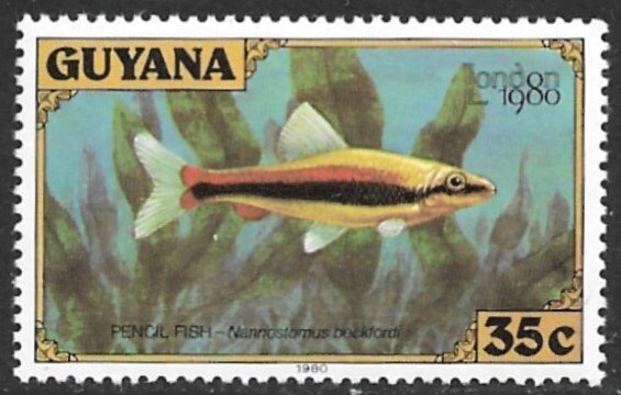 GUYANA 1980 35c PENCIL FISH Pictorial London 80 Sc 317e MNH