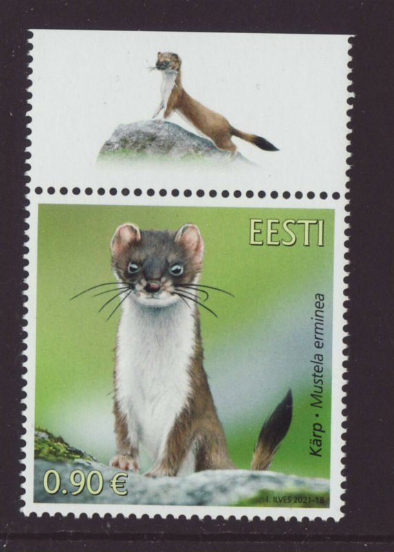 Estonia 2021 MNH - Estonian Fauna,The Stoat - stamp with label