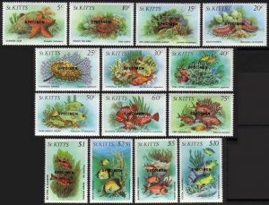 St Kitts 139-152 SPECIMEN,MNH.Michel 130-143. Marine life 1984.Fish,Shells,Worms