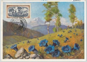 63862 - CZECHOSLOVAKIA - POSTAL HISTORY: MAXIMUM CARD 1957 -  FLOWERS