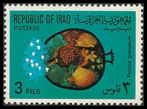 Iraq 561 Mint VF NH