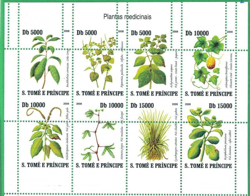 A3350- SAO TOME & PRINCIPE ERROR MISPERF Miniature sheet: 2008, Medicine, Plants 