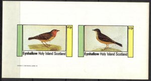 {E180} Eynhallow Scotland Birds (10) Sh.2 Imperf. MNH Cinderella !!