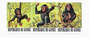 Guinea 1977 - MNH - Strip of 3 - Scott #753 *