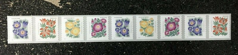 Scott 5672-5 or 5675a, Forever Mountain Flora, PNC9 #P111, MNH Coil Beauty