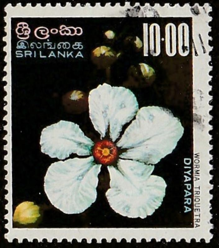 Sri Lanka, stamp, used, flower, white, topical collector, Scott# 498,  #M499