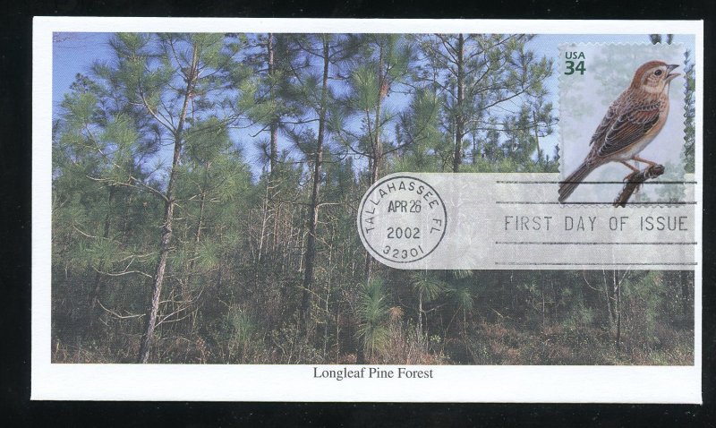 US 3611a Long Leaf Pine Forest Bachman's Sparrow UA Mystic cachet FDC