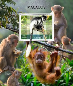 Sao Tome & Principe 2019 MNH Wild Animals Stamps Monkeys Mantled Guereza 1v S/S