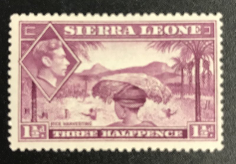 Sierra Leone Scott # 175A MNH