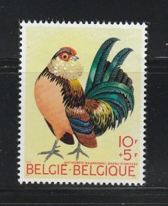 Belgium B850 Set MNH Birds, Rooster