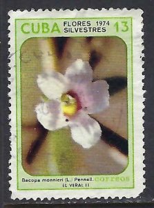 Cuba 1924 VFU FLOWER Z3482