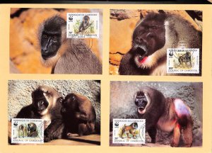 Cameroun WWF World Wild Fund for Nature maxicards drill monkey