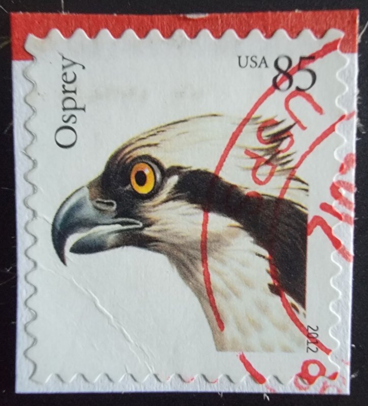 US 4611 (2012 Birds of Prey - Osprey)