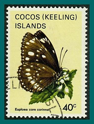 Cocos 1983 Butterflies Moths 3, 40c used  #95,SG92