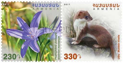 Armenia MNH** 2017 Flora and fauna Ixiolirion montanum Mustela nivalis weasel 