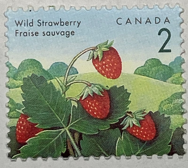 CANADA 1992-1998 #1350 Edible Berries Definitives - MNH