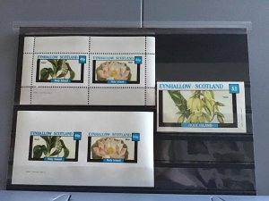 Holy Island Eynhallow Scotland Bean Flowers plants  MNH stamps  R24140