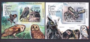 Comores 2011 Birds Owls 2 Blocks Imperforated MNH