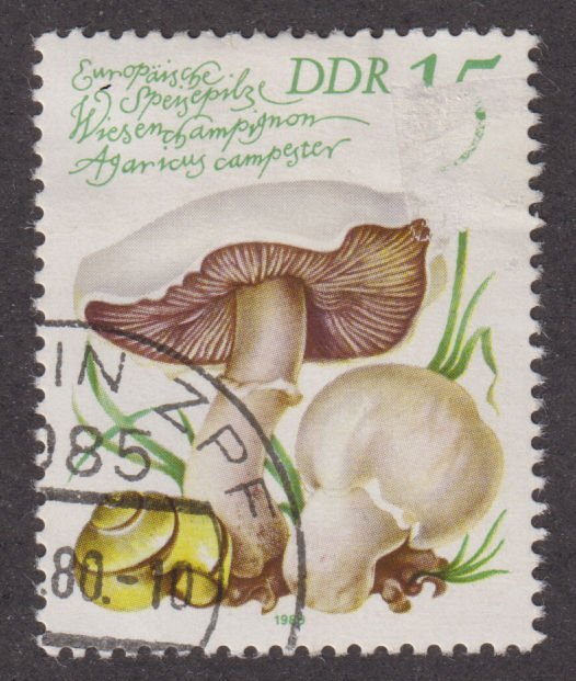 Germany DDR 2139 Agaricus Campester 1980