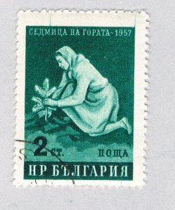 Bulgaria 977 MNH Woman Planting Tree 1957 (BP86221)