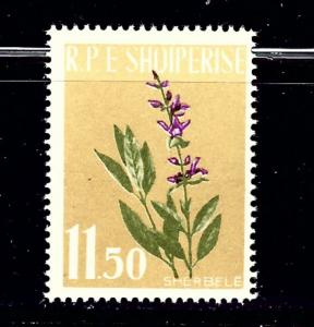 Albania 615 MNH 1962 Flowers