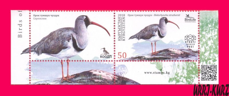 KYRGYZSTAN 2018 Nature Fauna Bird Ibisbill (Ibidorhyncha struthersii) 1v+ MNH