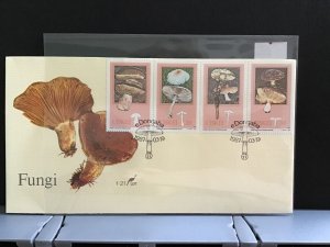 Ciskei 1987 Fungí with fungi cancel   stamps cover R27978