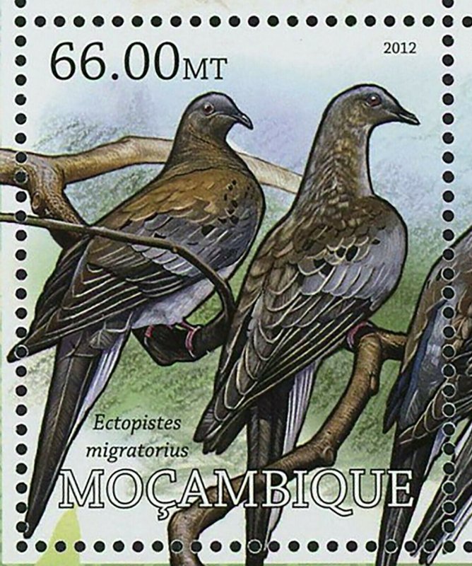 Birds Stamp Microgoura Meeki Columba Jouyi Ectopistes Migratorius S/S MNH #5726