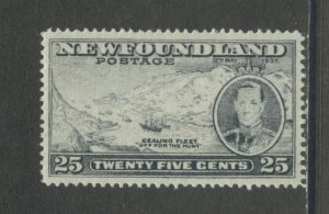 Newfoundland 242 MNH