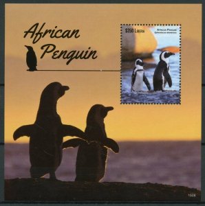 Liberia 2015 MNH African Penguin 1v S/S Penguins Birds Spheniscus Demersus