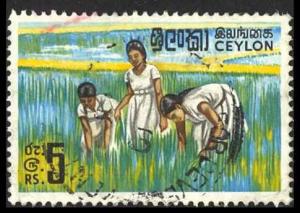 Ceylon Sc# 379A Used (a) 1969 Girls in Rice Field