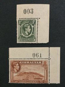 MOMEN: GIBRALTAR SG #121-122 1938 P14 MINT OG H LOT #202178-8447