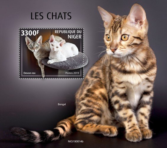 NIGER - 2019 - Cats - Perf Souv Sheet - MNH