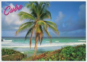 Postal stationery Cuba Palm tree
