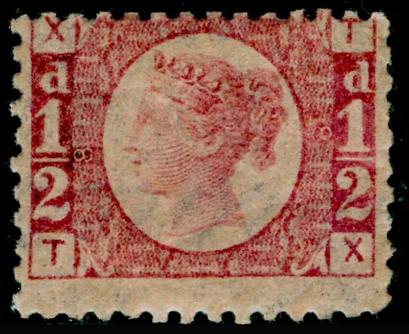 SG48, ½d rose-red plate 8, LH MINT. Cat £600. TX