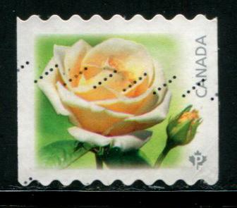 2728 Canada P White Rose SA coil, used