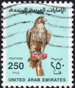 United Arab Emirates #307 Used