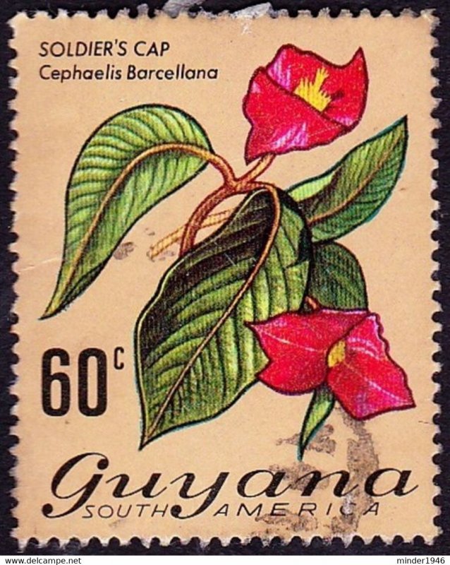 GUYANA 1971 QEII 60c Multicoloured Flowering Plants - Soldier's Cap SG553 Fin...